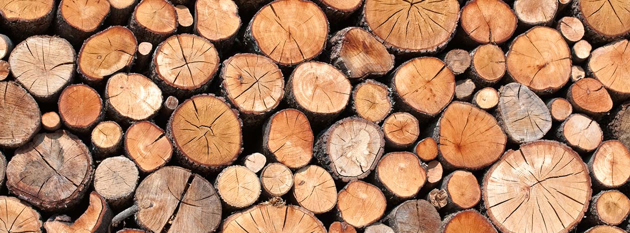 Ratgeber Holz- & Baustoffe